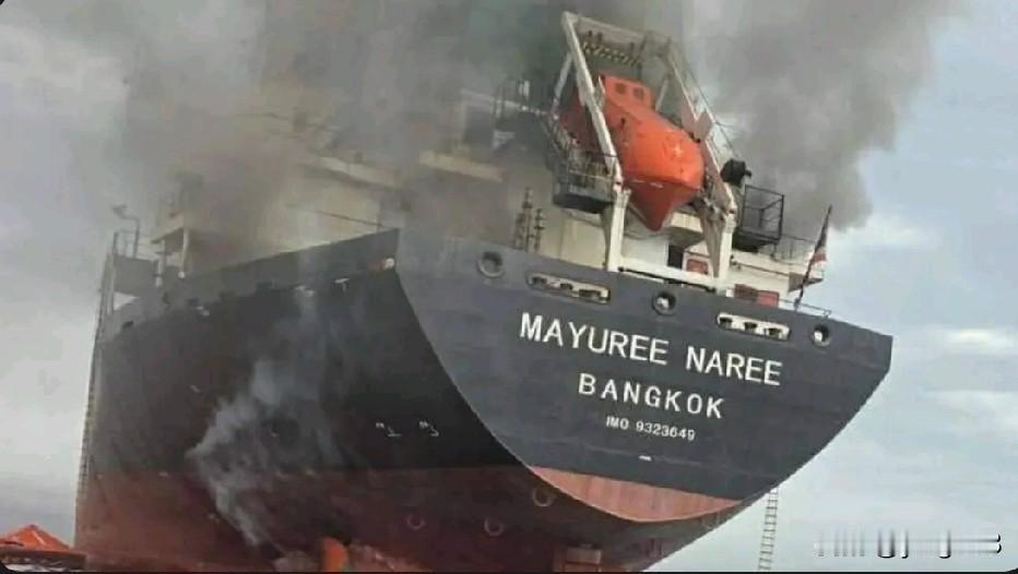 华盛顿——唐纳德·特朗普总统或许正在痛苦地意识到，多年来对美国传统盟友的斥责、侮