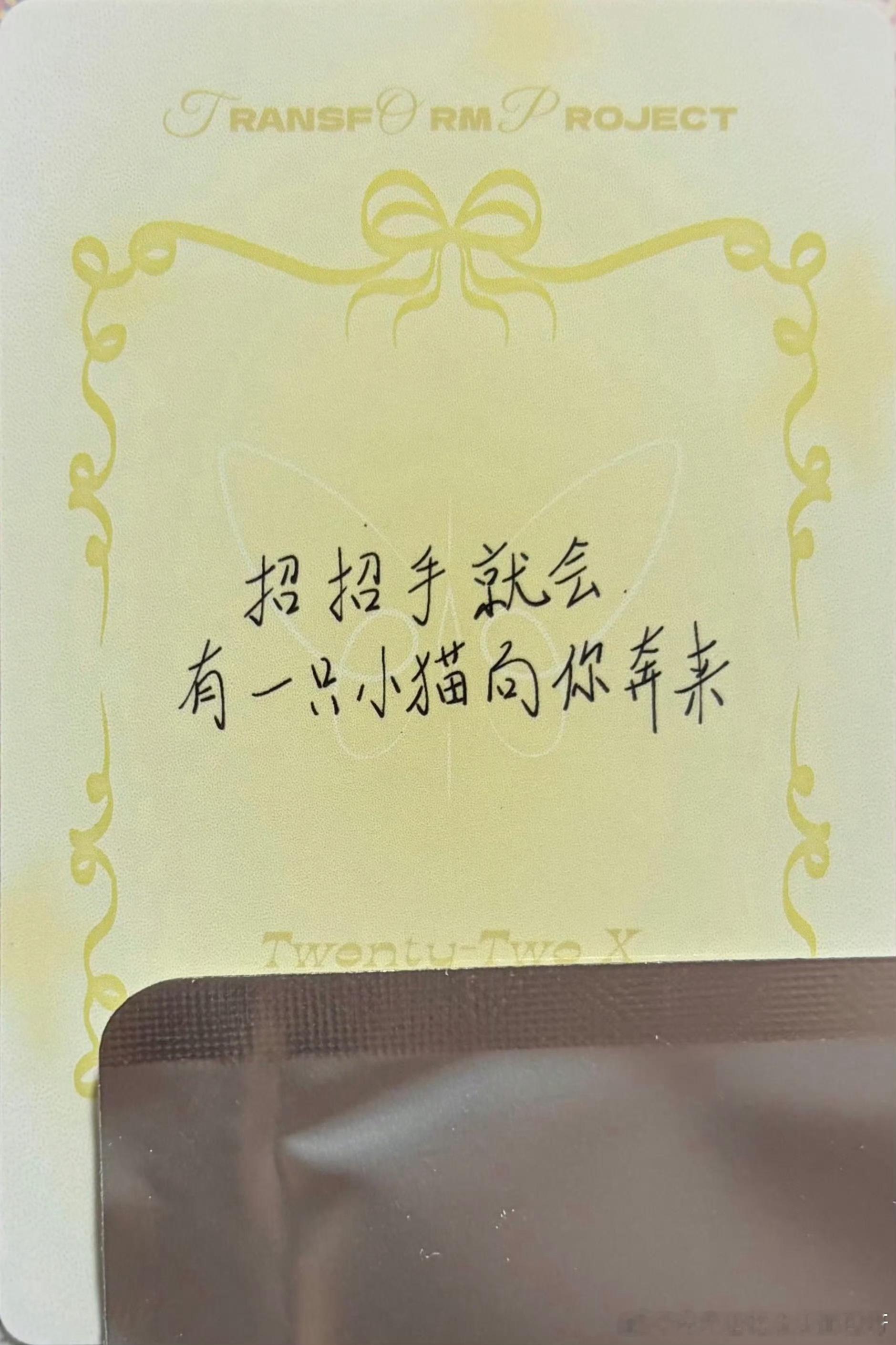 招招手 就会有一只小猫向你奔来₍˄·͈༝·͈˄₎ฅ˒˒啊啊啊啊啊这个小咪子怎么这