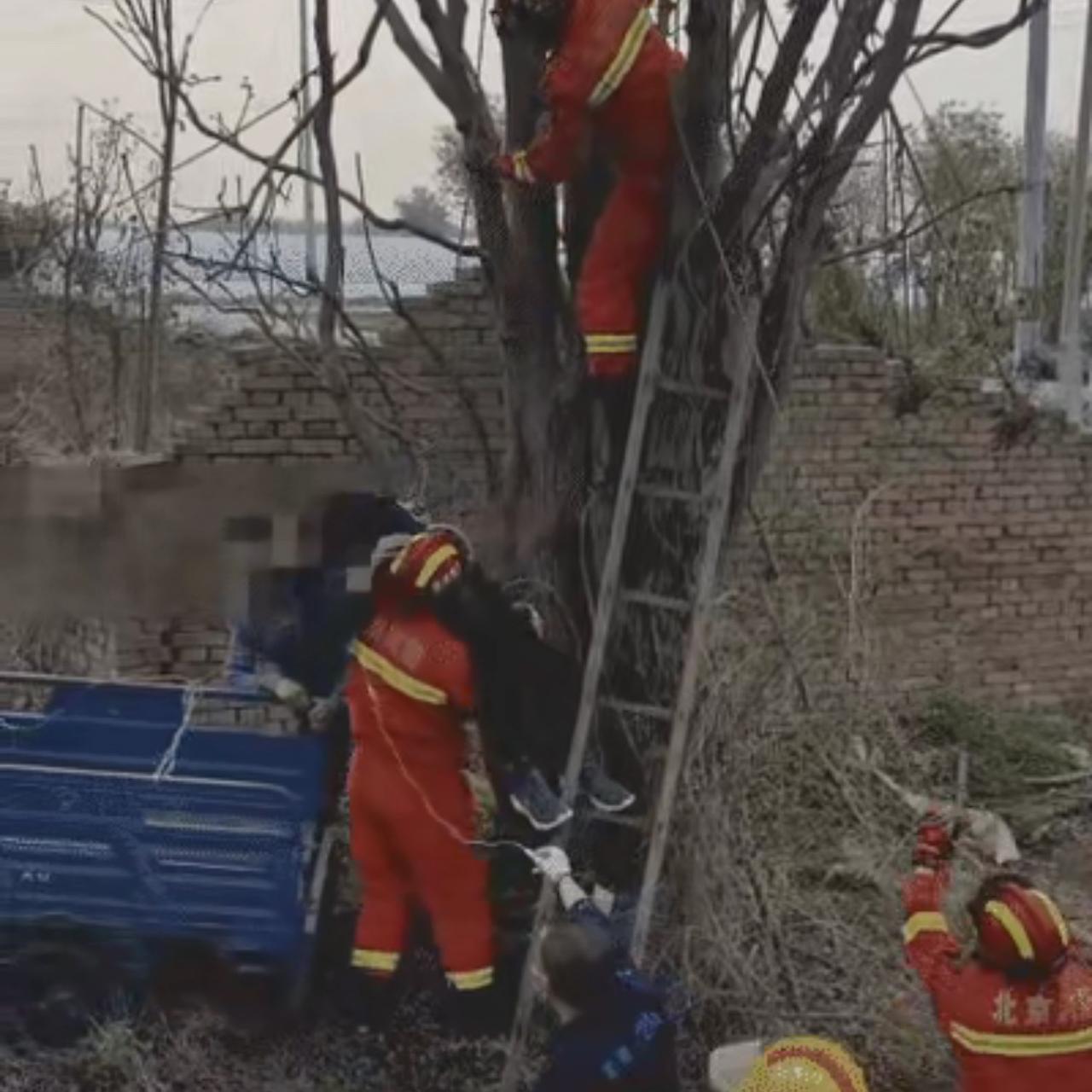 深圳有一个女生，单身六年，谈过几个男朋友，但是每次刚要在一起的时候，她就会提出一