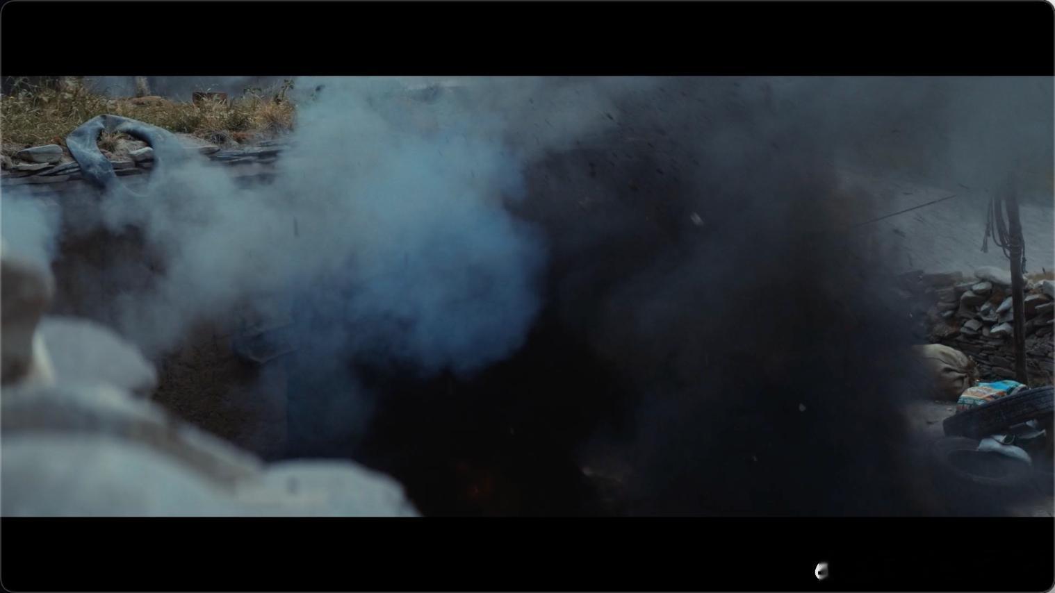 开年第一爆要让生命树拿下了别再犹豫要不要看生命树了，直接冲就完事！镜头语言高级，