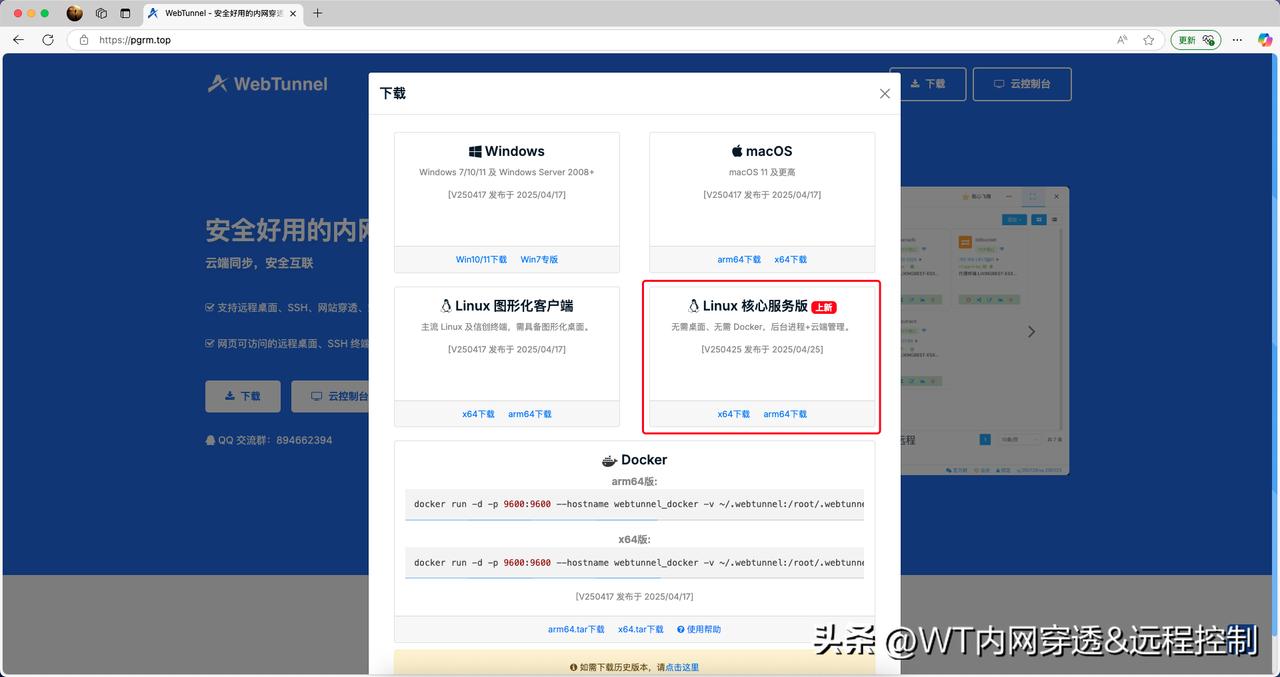 内网穿透软件 Linux 核心服务版客户端来了！🎉

大家可以称呼他为：Web