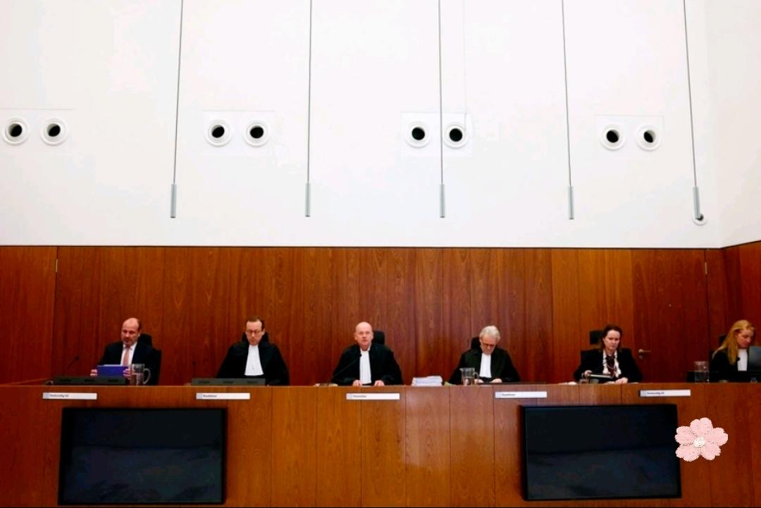 安世半导体裁决一出，局面更耐人寻味
 
荷兰企业法庭就安世半导体一案作出最新裁定