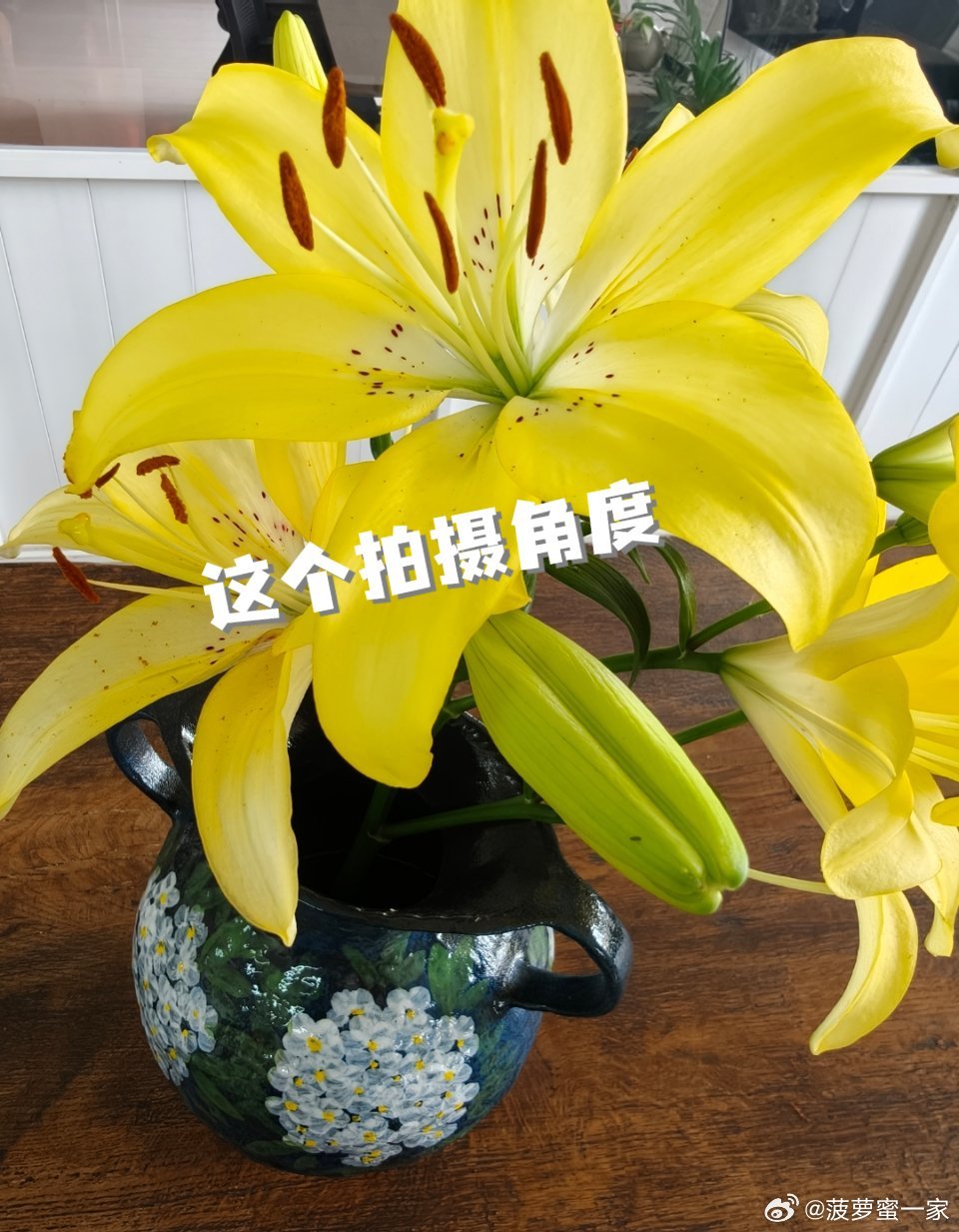 编辑照片的时候不禁感慨：快乐的方式有太多种了，所以都快乐起来吧！今天，你快乐了吗