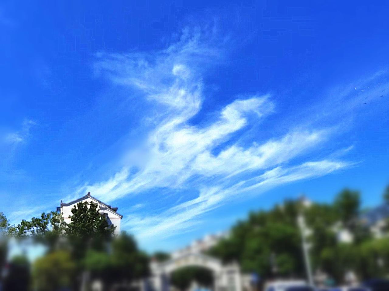 龙马跃天

祥云浮空，会变化出精彩意象图景，令人叹为观止。

这片浮云展示了龙马