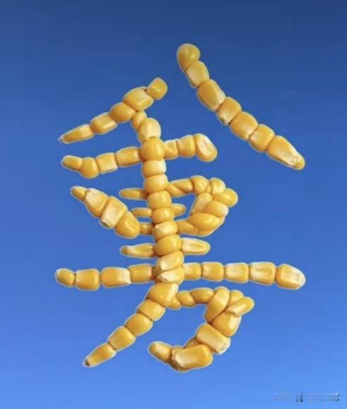 一共8个字，能看懂的一定很优秀，说明你的眼力和脑力都很够用的