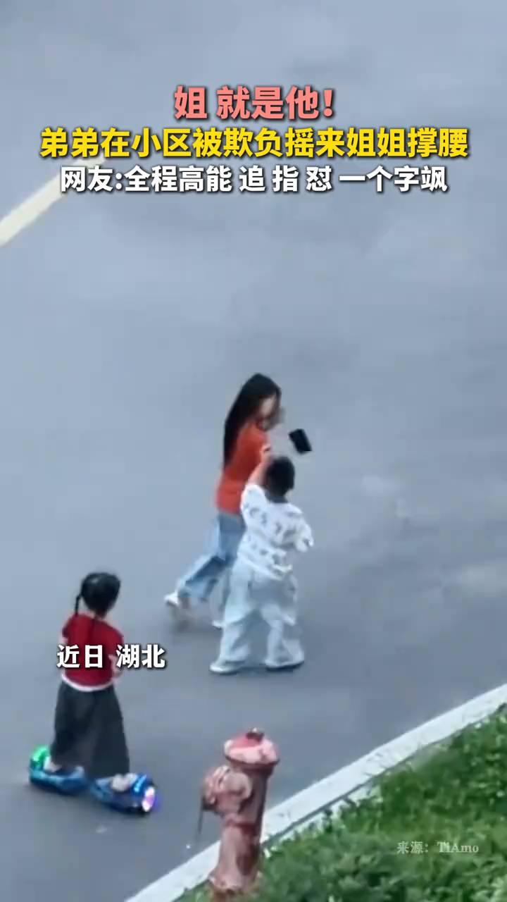 姐就是他！弟弟在小区被欺负摇来姐姐撑腰。网友：全程高能追指怼一个字飒！
近日湖北