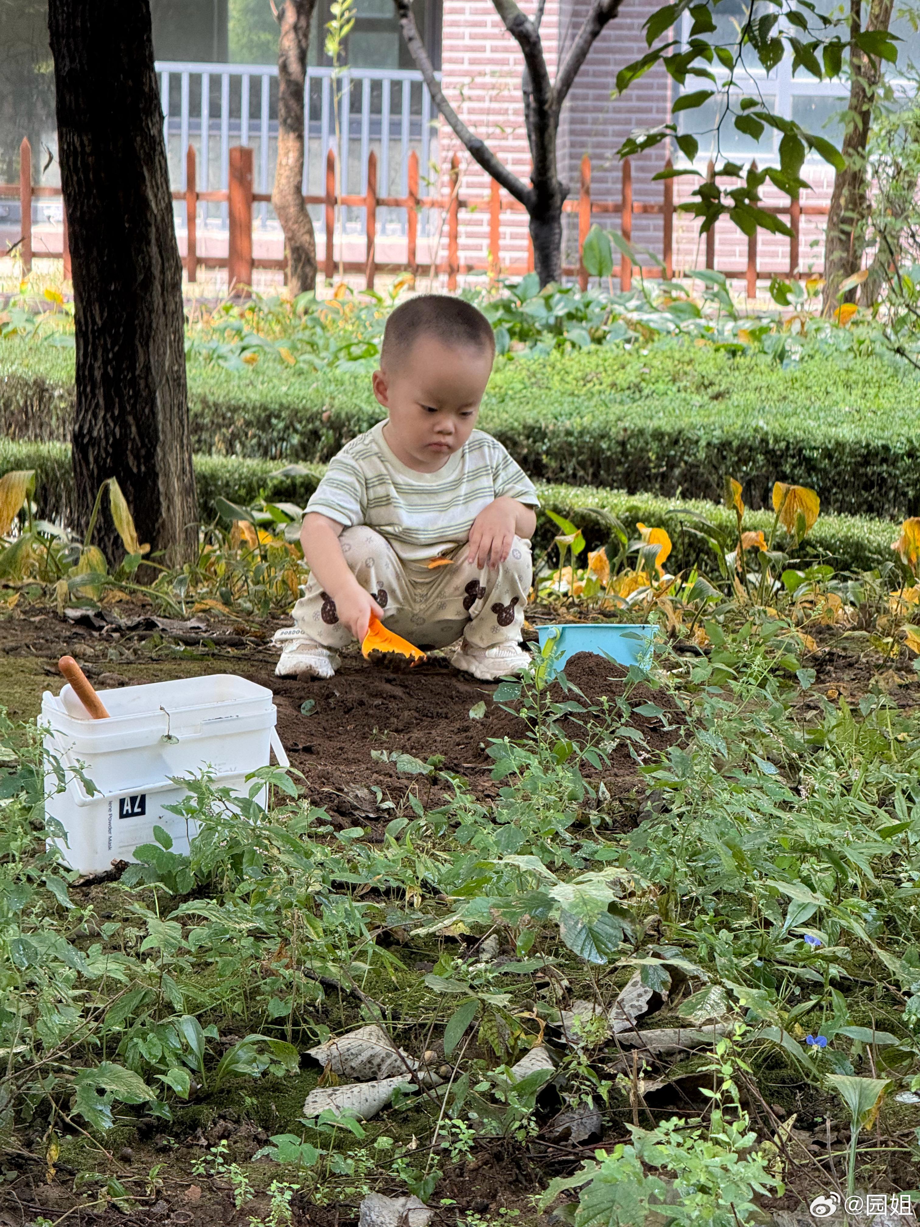 小区里有块没长草的土，天天被几个孩子翻来翻去，不亦乐乎，中国人对土地的执念有多深