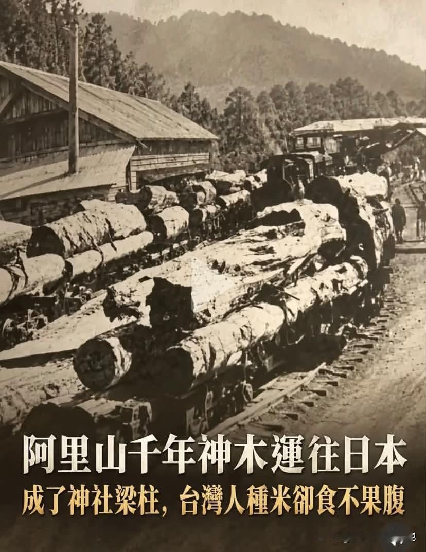 部分台独恋殖者总爱吹捧日本殖民时期的“建设有功”，尤其把八田与一和嘉南大圳捧上神