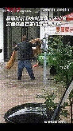 “养鱼佬哭晕在厕所了！”湖北枝江，暴雨过后，街道积水没过小腿，有居民直接在家门口