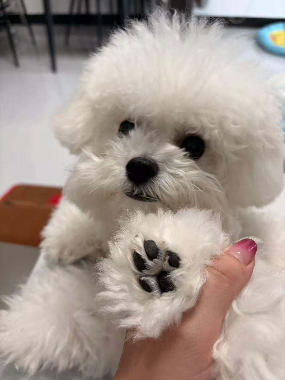 黄岩 小臭脚谁敢闻🙊🙊🙊🙊🙊🙊🙊 