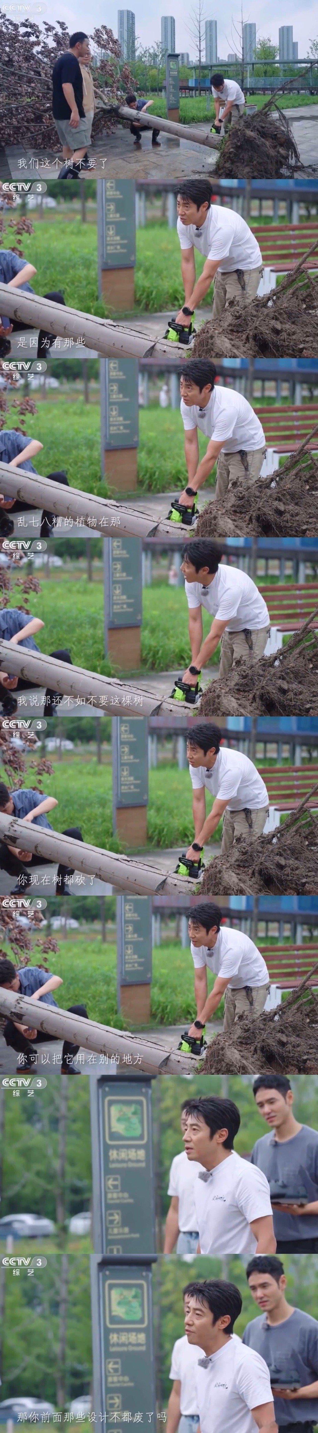 撒贝宁你是演爽了尼格买提没面子了谁还没看撒贝宁尼格买提的枯树之争？前一秒为留树起