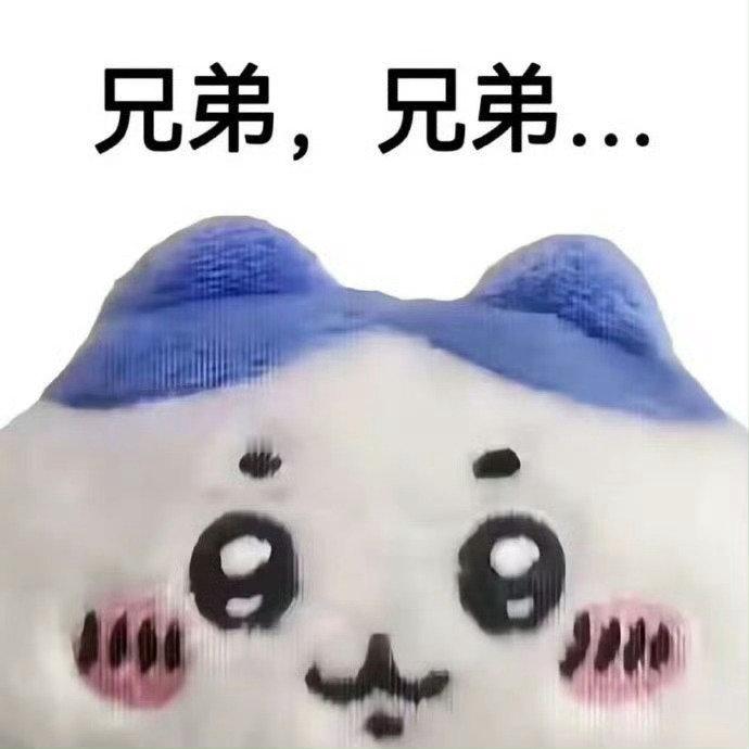 chiikawa 兄弟表情包[doge] ​​​