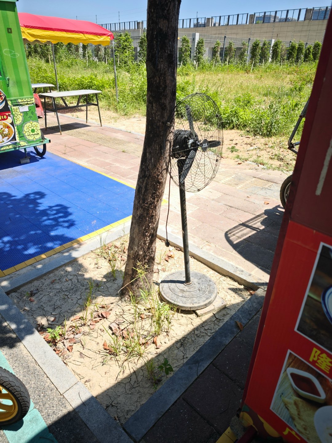 总觉得夏天越来越热。。问题是现在不都秋天了吗 ​​​