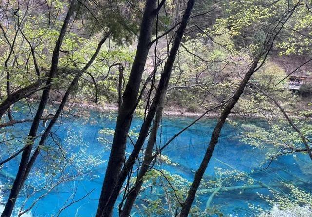 复旦大学 陈果：“没有父亲的经济收入支撑，母爱就是扯，父爱永远不会比母爱少一丁点