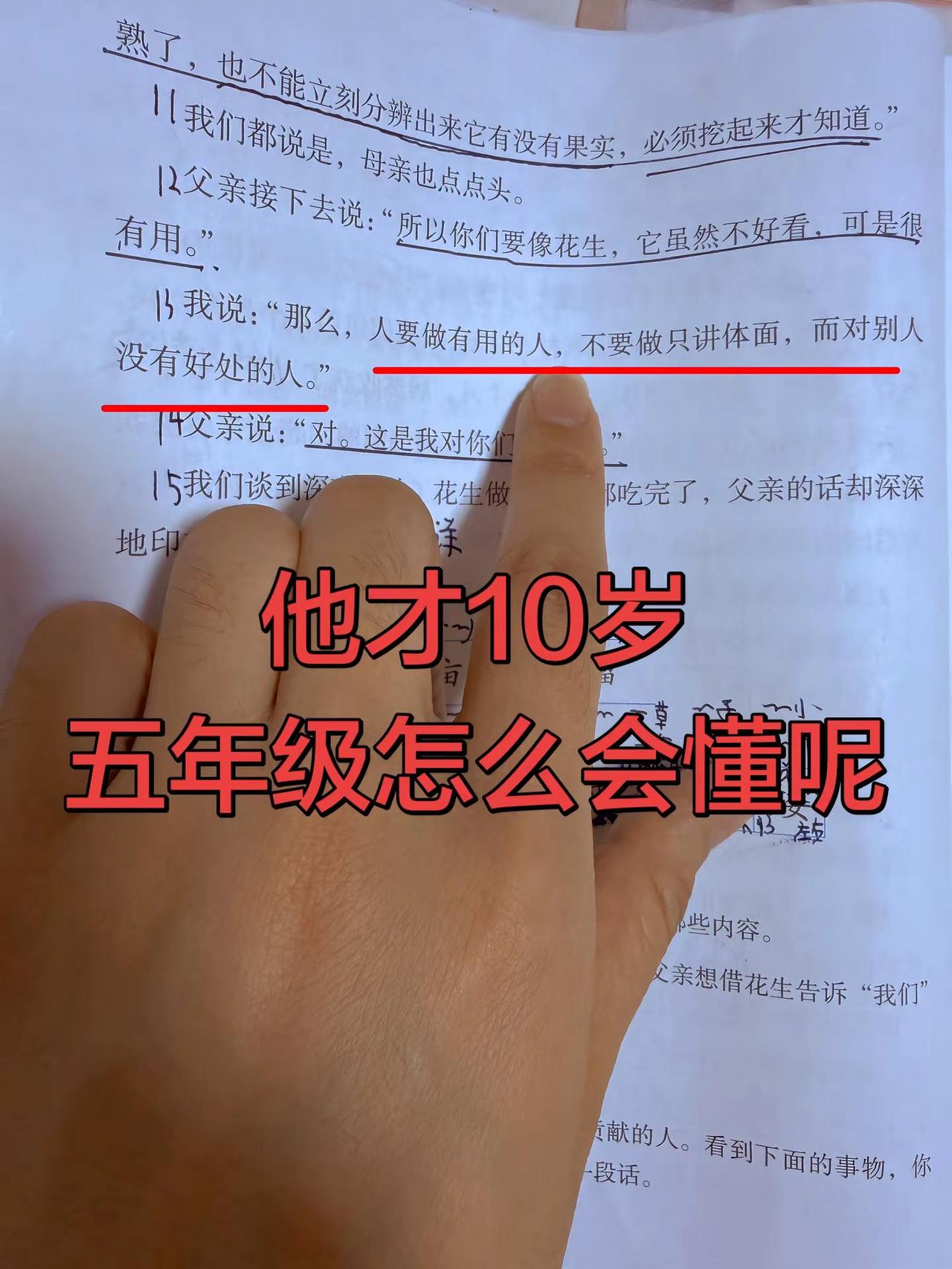 长大后才读懂的课文 五年级落花生 语文课本