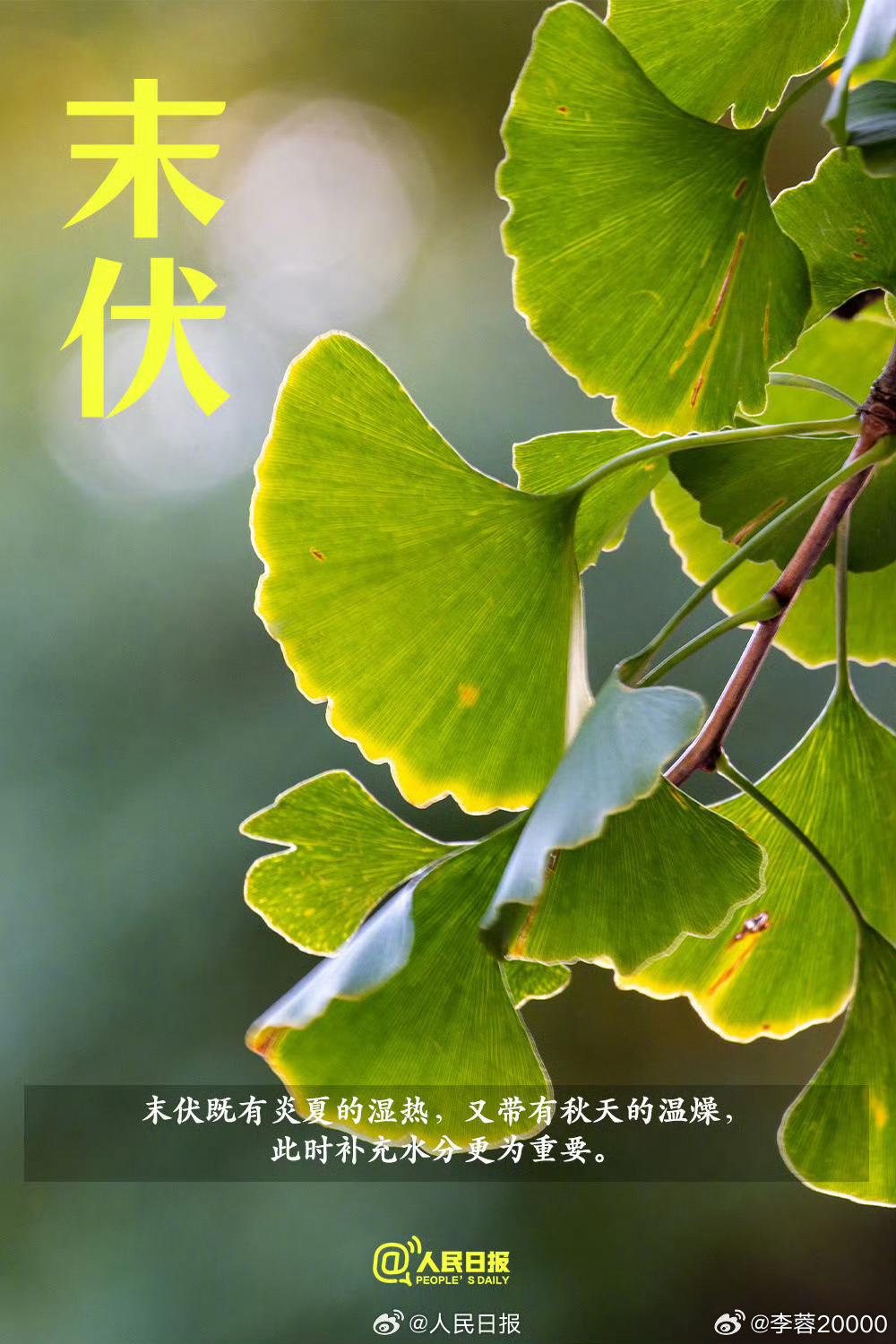 【今日末伏，三伏天快过去了】①今年末伏为8月14日至23日，“加长版”三伏天正式