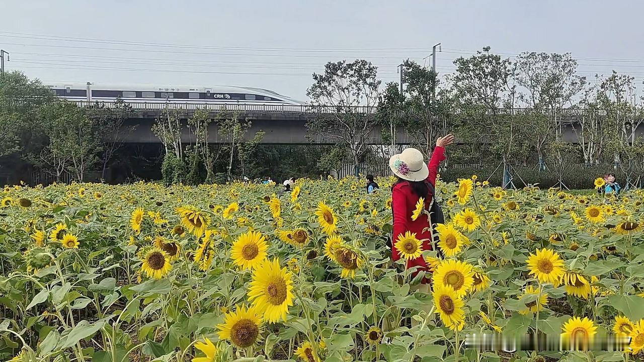 我出门在外，总是能够遇到好人，得到别人的帮助。

今天我到武汉黄陂航空总部那边去