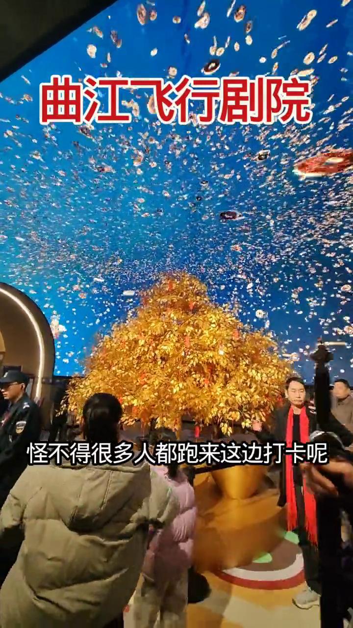 曲江飞行剧院。
这视觉效果也太漂亮了，怪不得很多人都跑来这边打卡。这都撒的都是铜