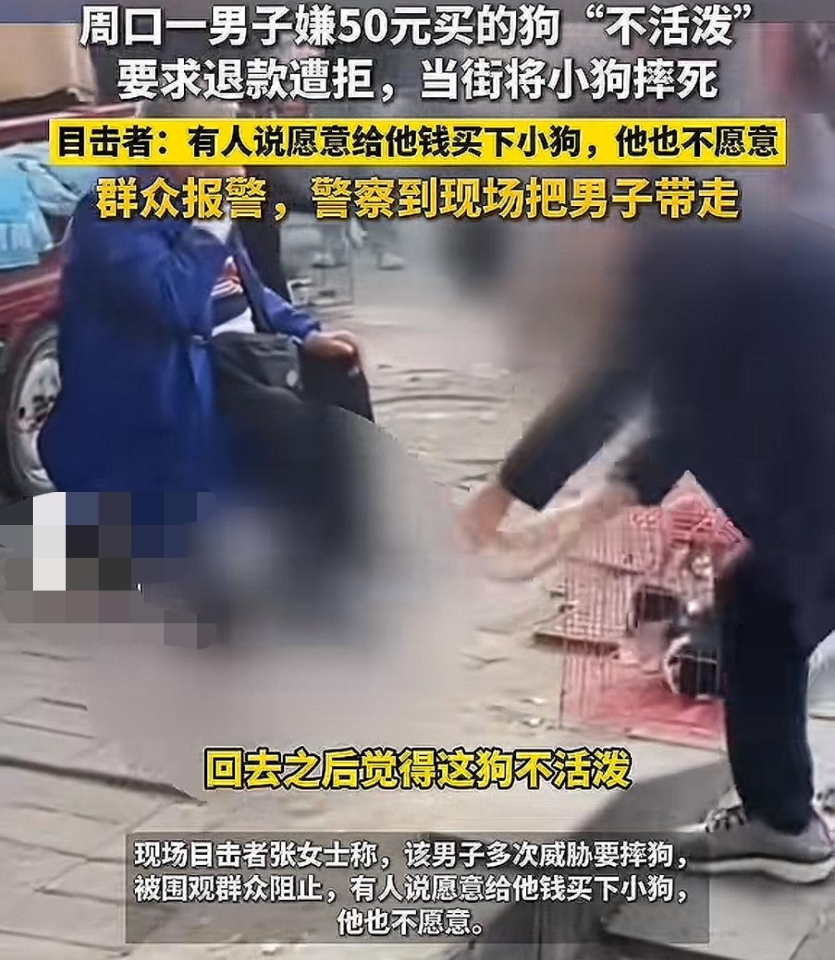 河南，一男子在街边花50元买了一条小狗，准备带回家当宠物，可后来又觉得狗狗不活泼