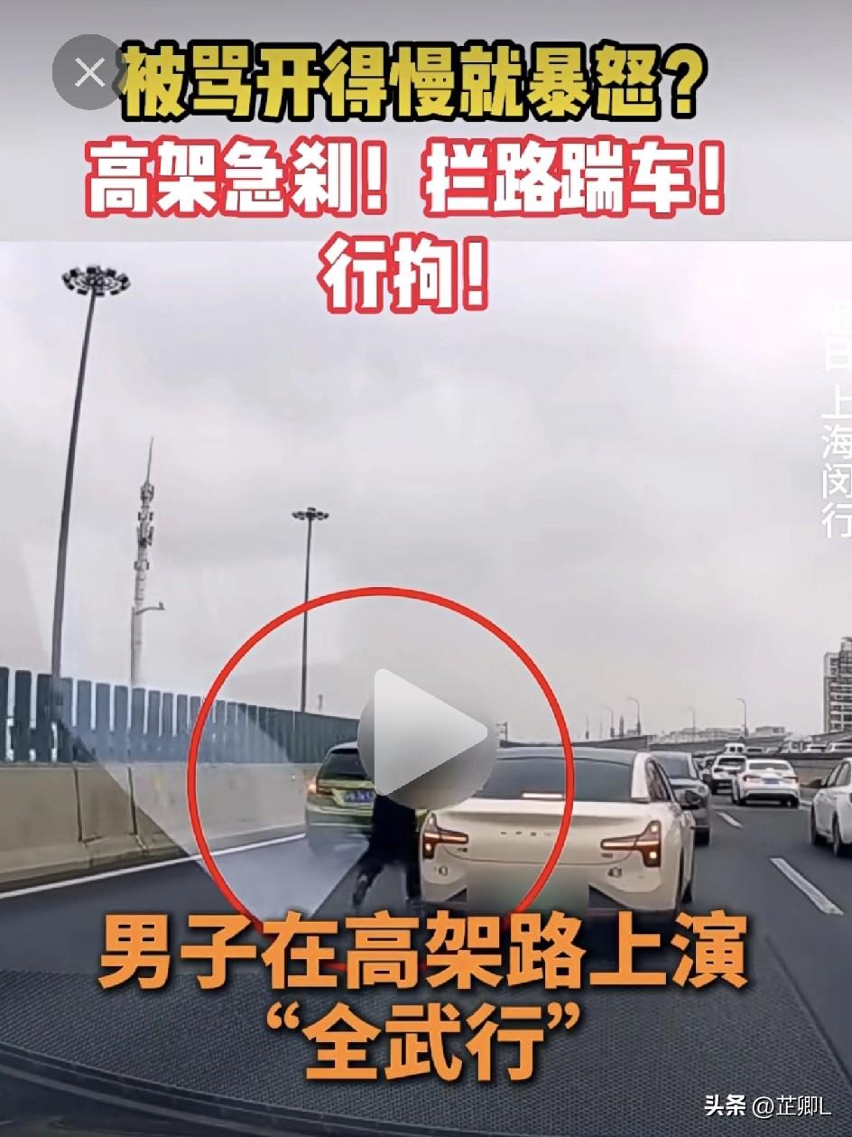 上海高架上演路怒闹剧！司机被嫌车开得慢，下车追打超车车主，结局大快人心！
 
开