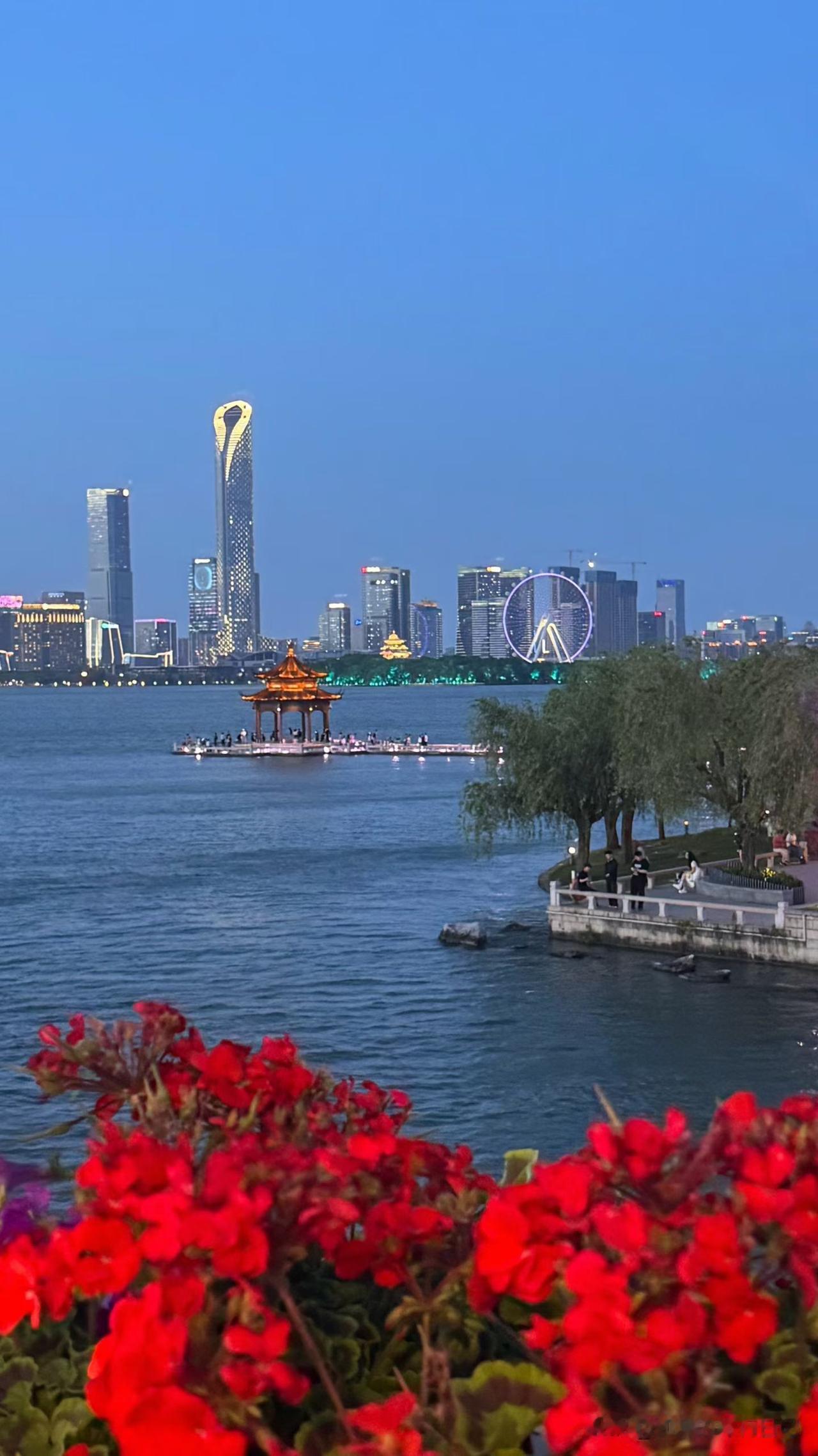 昨天儿子说，他的一位法本港硕同学，被深圳一家红圈律所接收实习，薪资不低，但女孩放