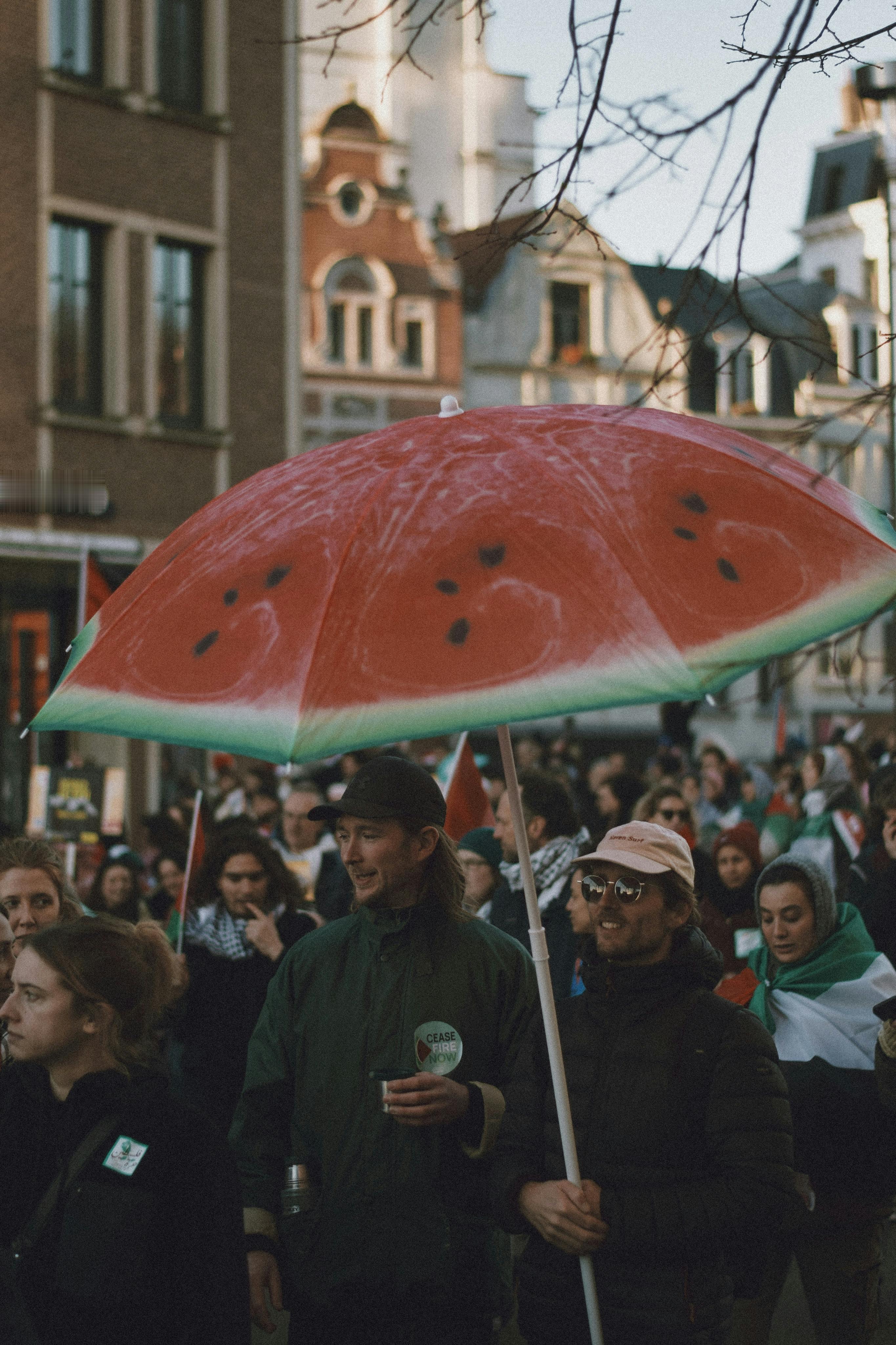 20240425日运指南己未日今天是比较明显的土重的日课，不过比较舒适的时间段是