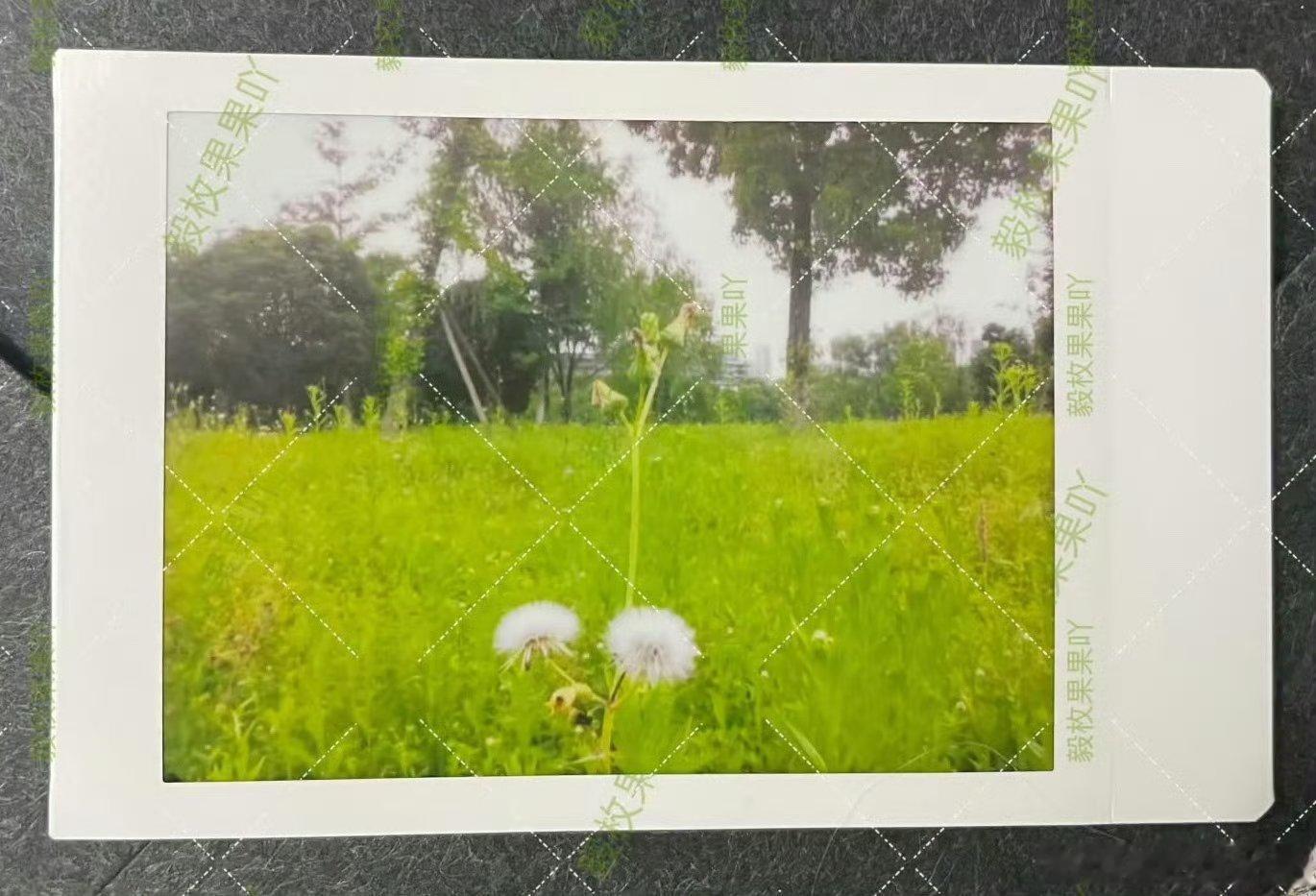 你眼中独特的风景 是我不曾驻足留意过的谢谢你把眼中最美的风景送给果果