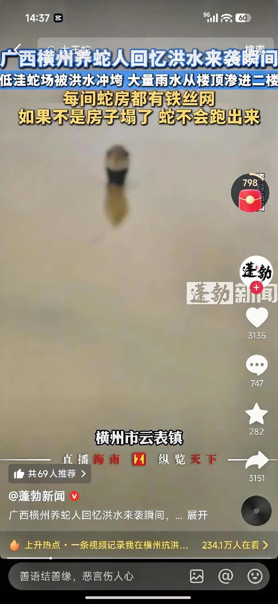 6万条蛇养殖场被洪水冲毁！数百条蛇外逃，暴露最致命养殖漏洞
 
谁也没想到，一场