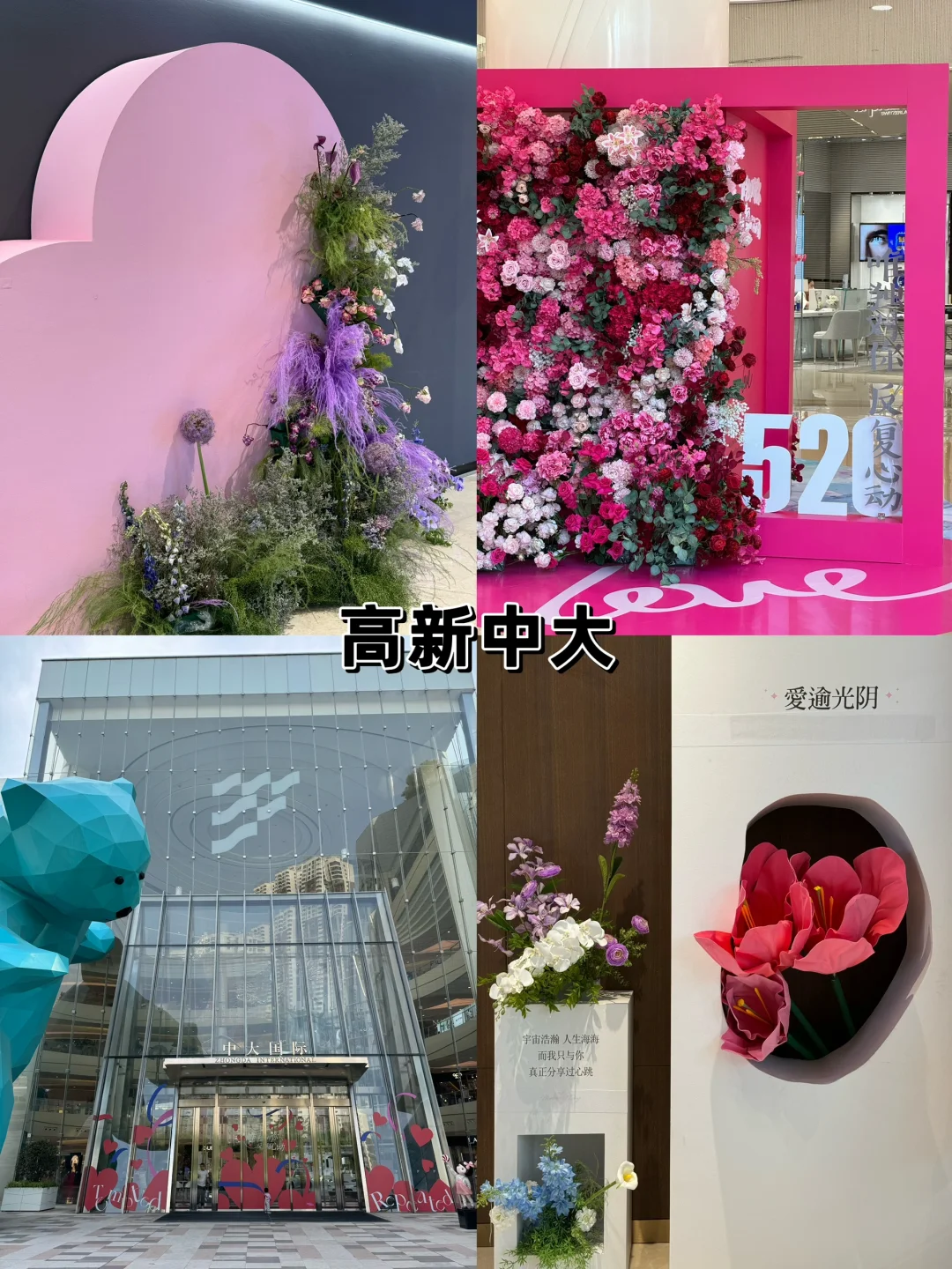 又又又来高新中大过520啦🌷