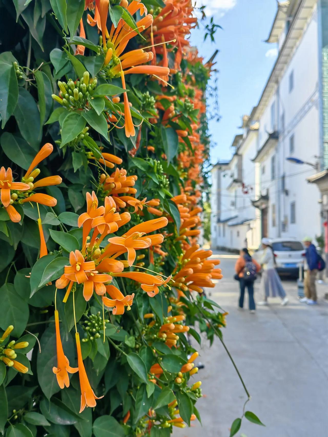 分享云南之行拍摄的美景