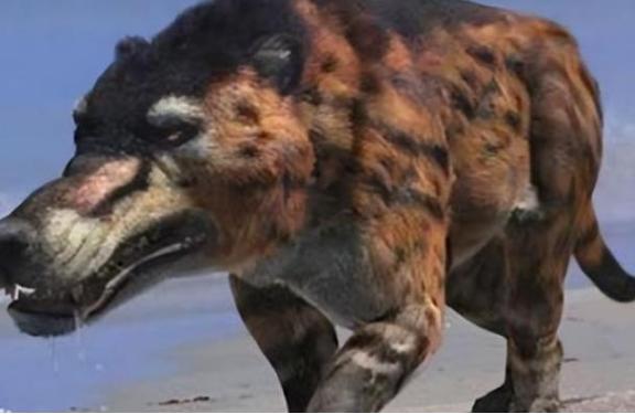 1973年，一头神秘野兽进入部队捕食，被哨兵当场射杀。然而，当看清野兽的模样后，