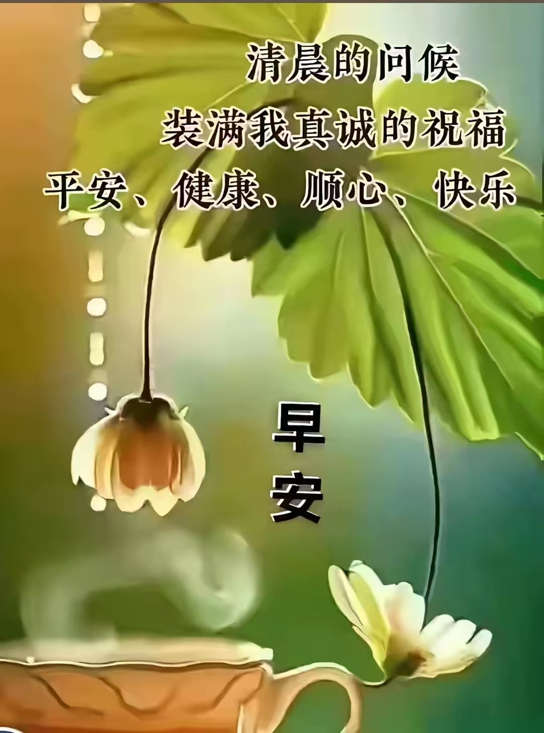 分享图片  ​​​