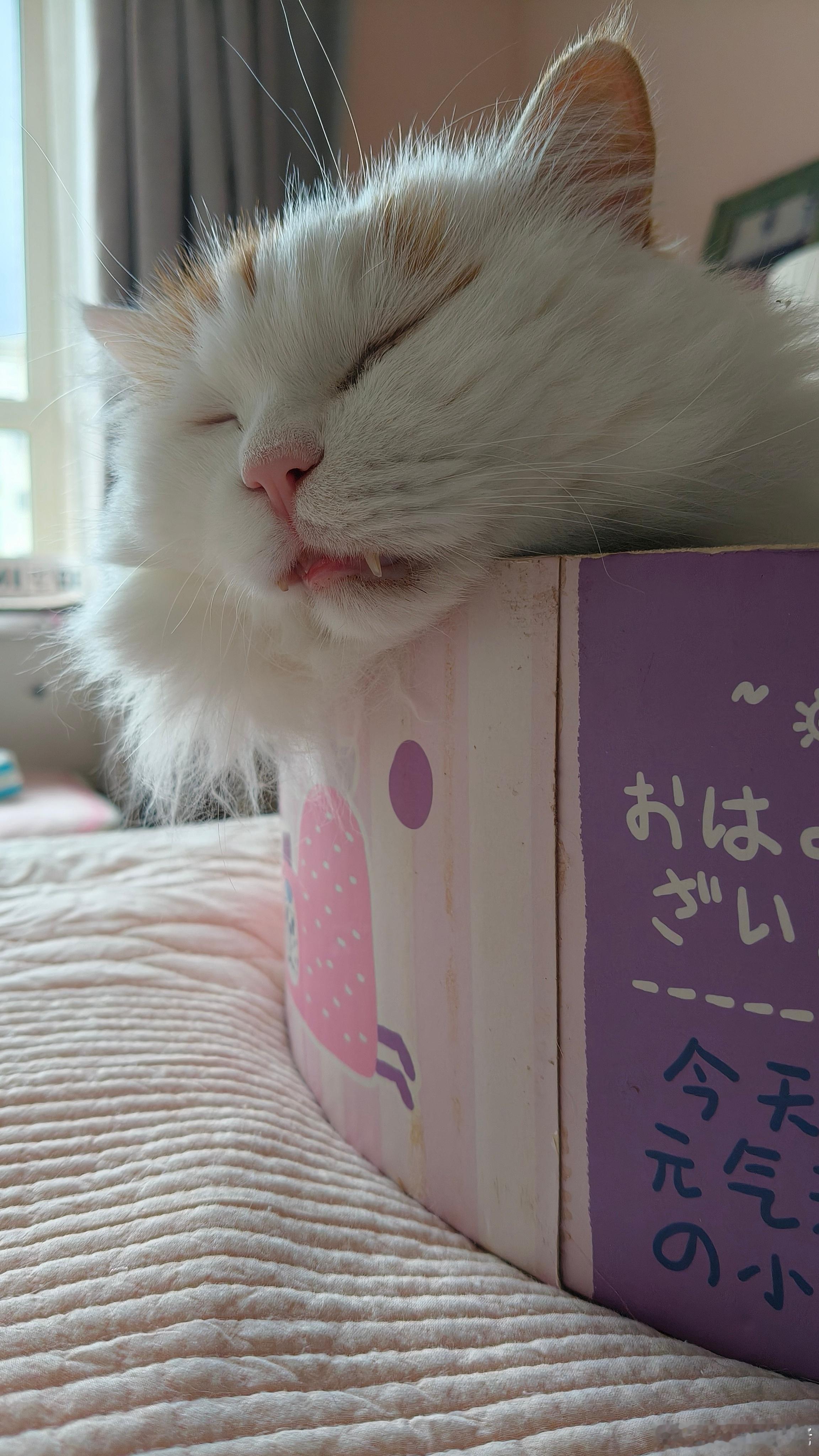 美女也有失态的时候～晚安[允悲][允悲] ​​​