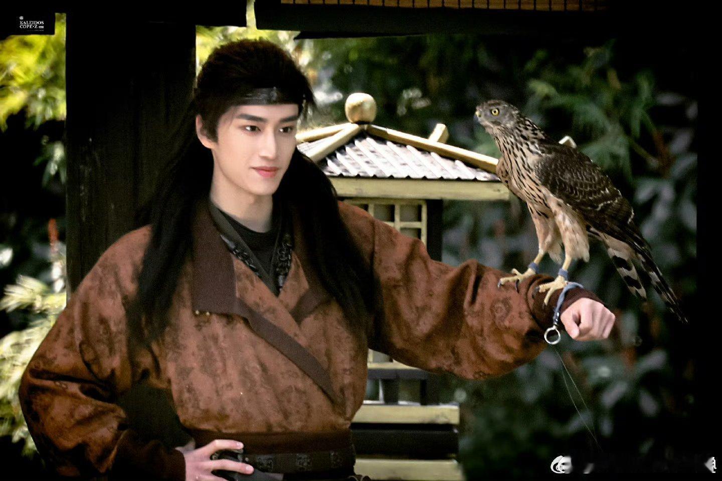 黄杨钿甜张康乐训鹰黄杨钿甜的鹰拉了 黄杨钿甜的鹰拉了 ​​​哈哈哈哈哈 ​​​