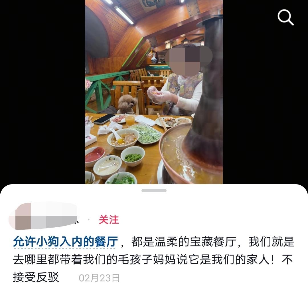 这都是什么人？还允许狗入内的都是宝藏餐厅？狗是你们的家人，你可以供在家里。但在别