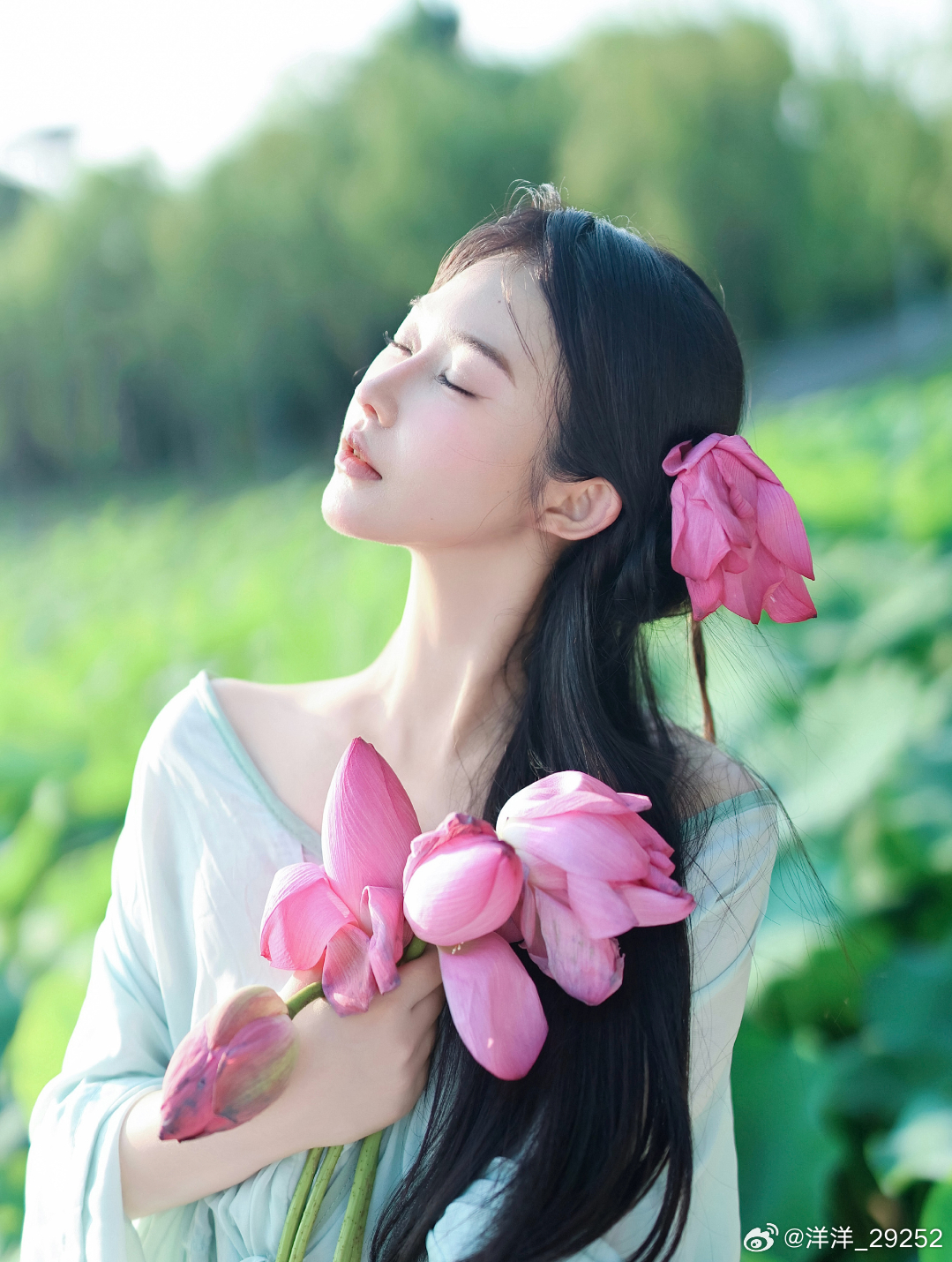 洋洋高锐·多情芍药含春泪◎摘了一朵红花好想……献给了伊献给30前的伊◎可是……望