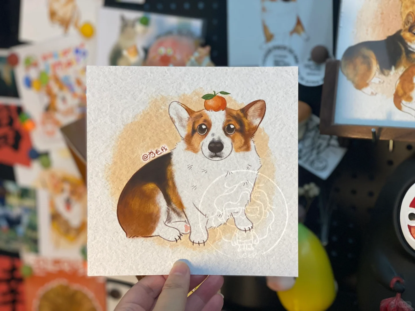 🍊橘子基