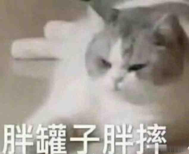 咪的牙齿已经补过很多轮了希望可爱们引以为戒。第一轮是中学补了五颗磨牙然后大学又补
