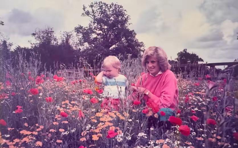 今天肯辛顿宫同步更新了动态，这次跟以往不同，没有头衔的称谓，没有专业摄影师的机位