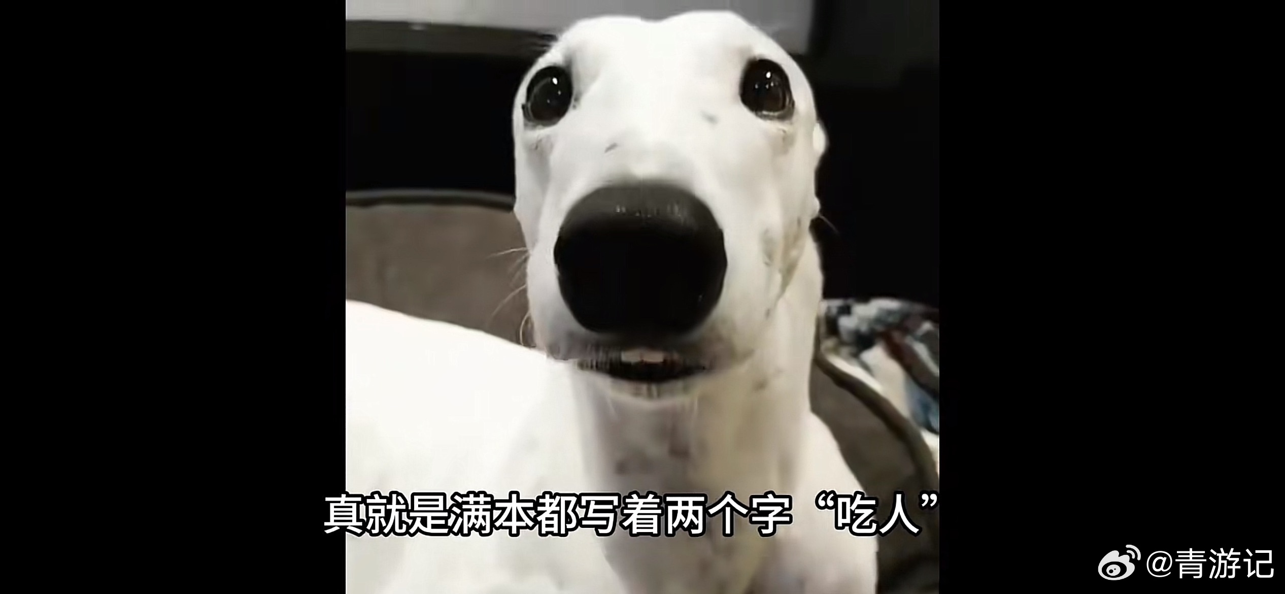 弟弟选择躺平了，经过一个多月的电话骚扰，也习惯了。不投资不折腾，小日子还安逸的狠
