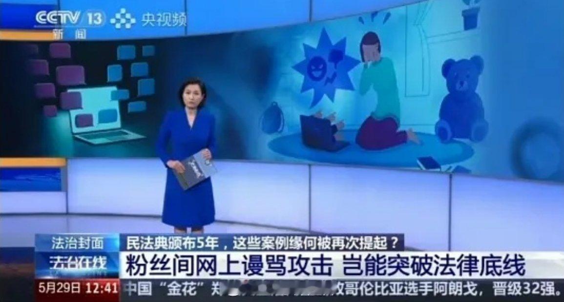 粉丝间网上谩骂攻击上电视（央视）了 ​​​