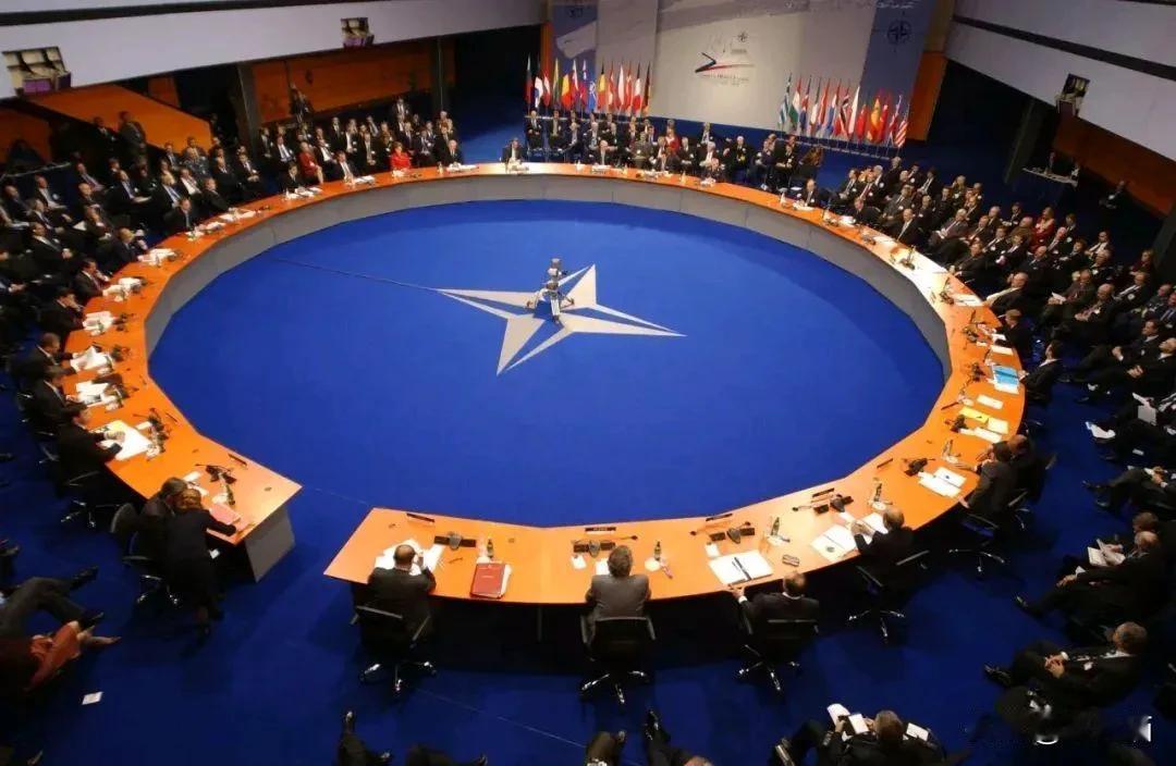 欧盟成员国未能就乌克兰境内培训乌军问题达成共识！

近日，爱沙尼亚防长佩夫库尔于