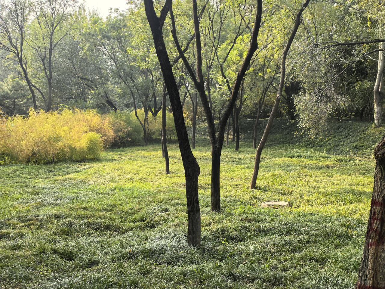 这几天理想汽车在上海行驶中着火，这件事情搅动了大家的心神，其实大家也不用担忧，理