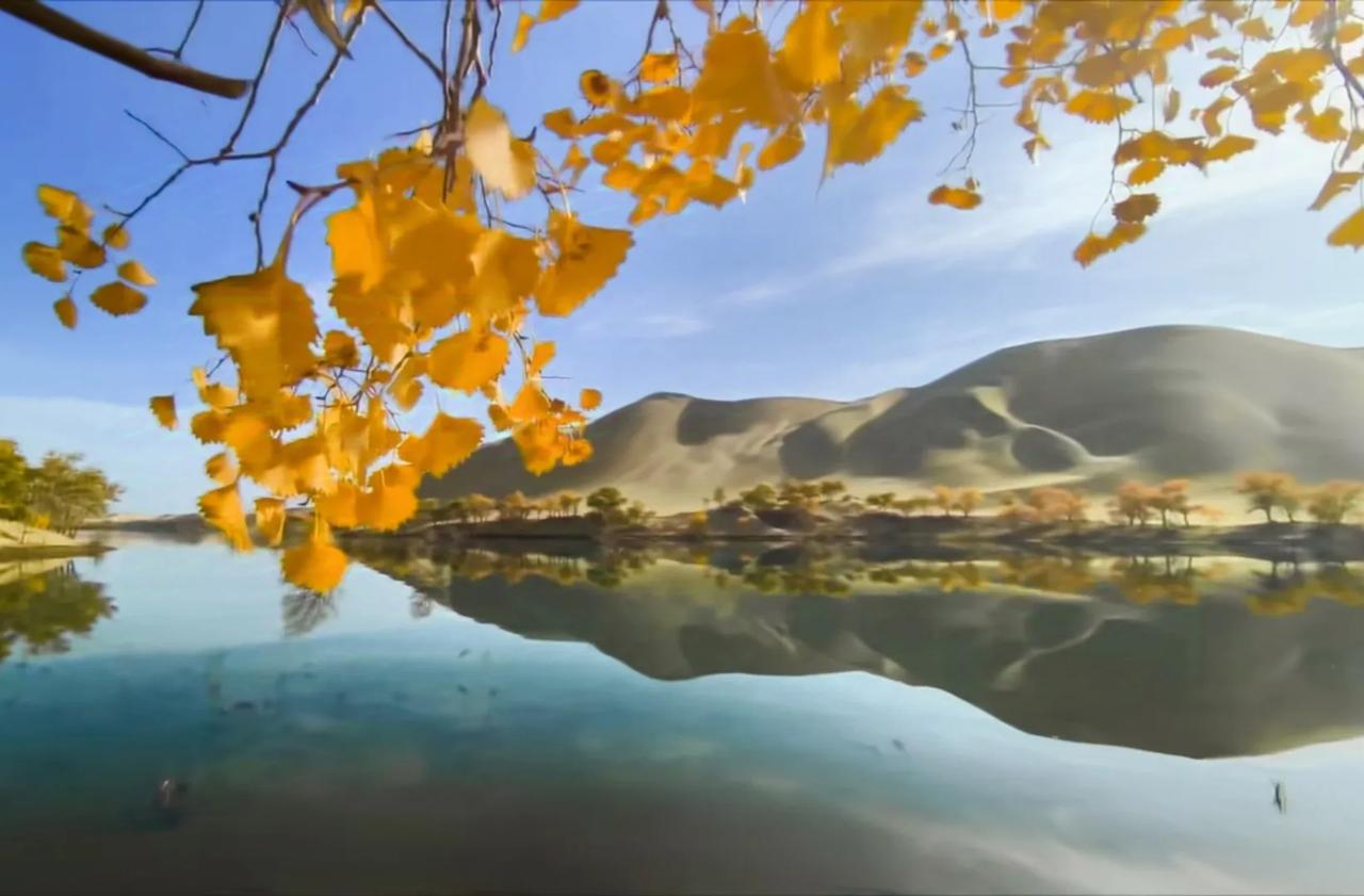 当沙漠胡杨邂逅秋水蓝天，那个美简直就是无法形容！能夠看到真的是三生有幸啊！