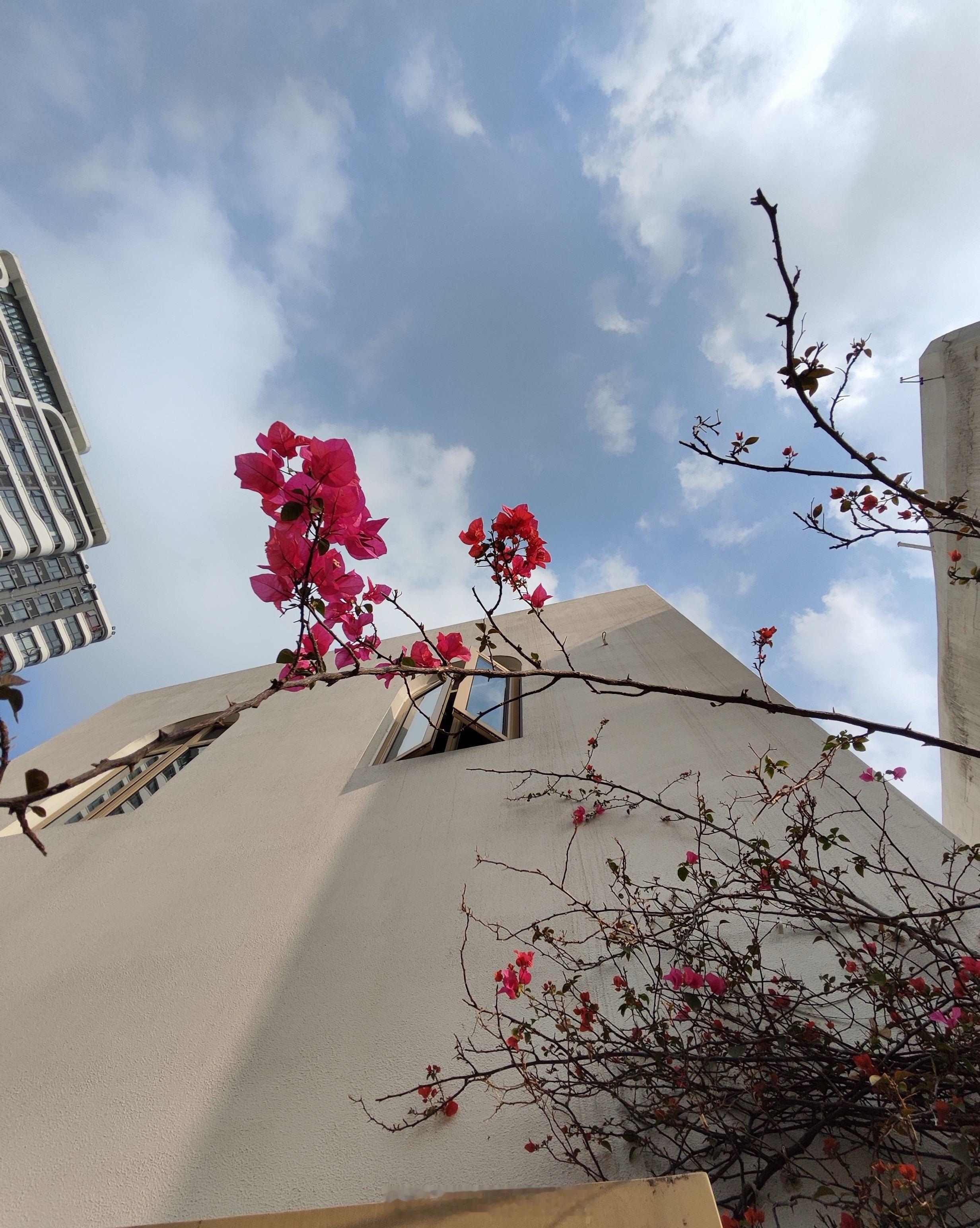 【我的三步牛妖战法，有点意思】我的三步牛妖战法，有点意思：主要将5千只票缩小在1