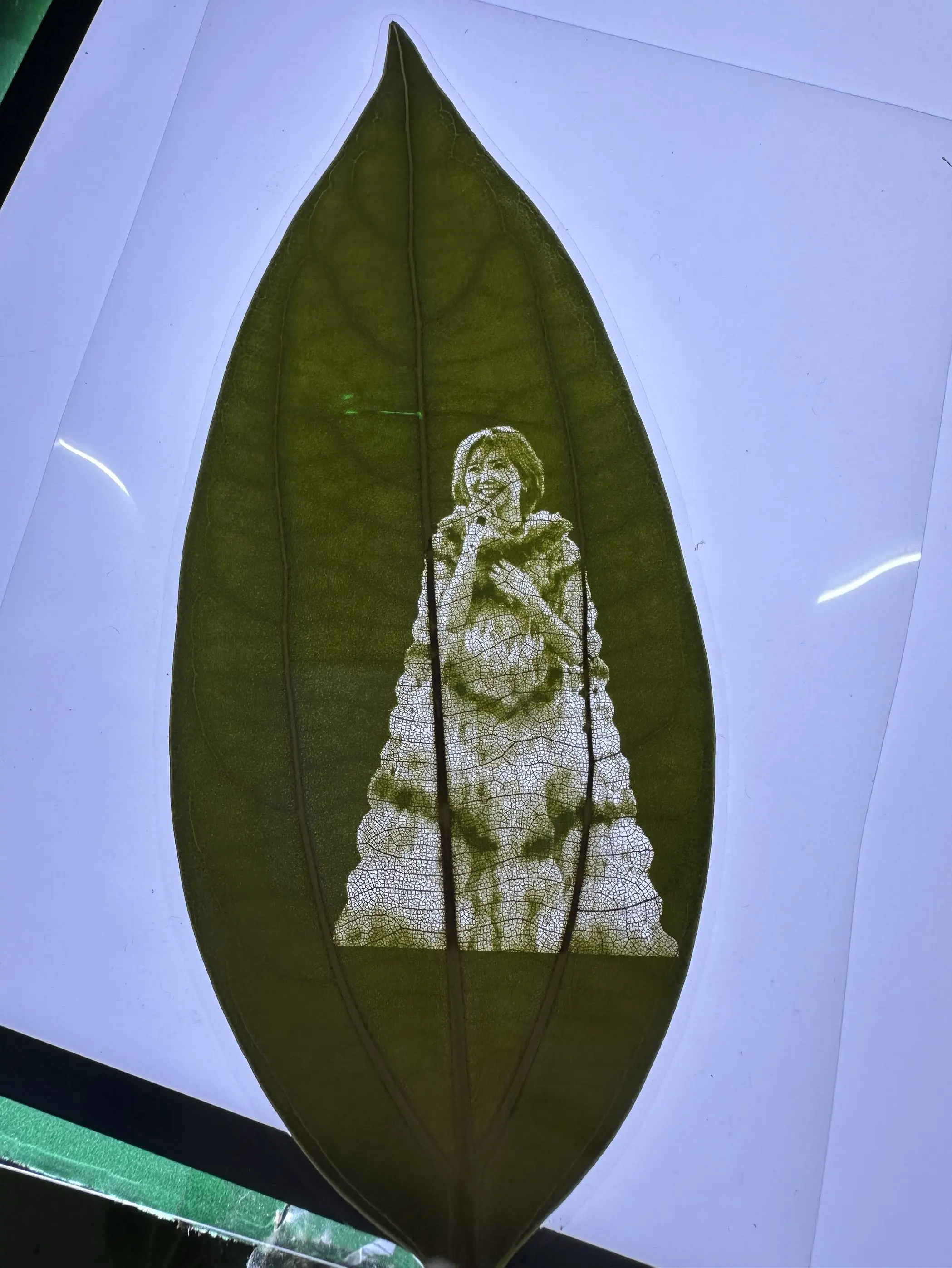 捉45个宝宝，抱走孙燕姿