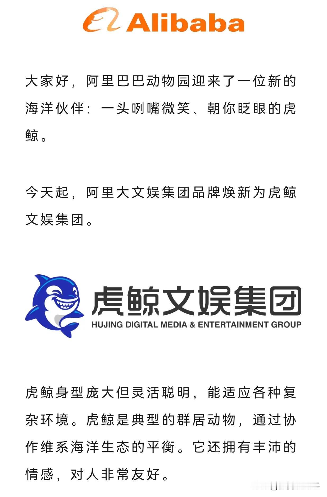 阿里大文娱更名为虎鲸文娱集团，董事长还是樊路远，虎鲸其实是一种海豚，阿里喜欢用动