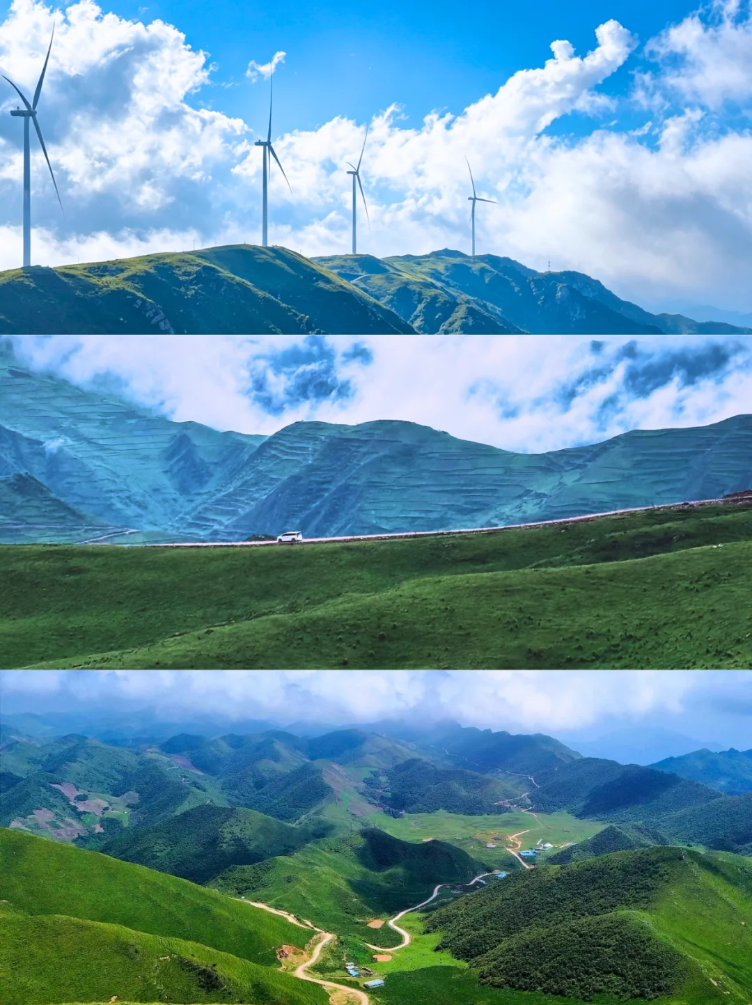 西安周边自驾天花板🚗22℃陇南避暑太爽了
