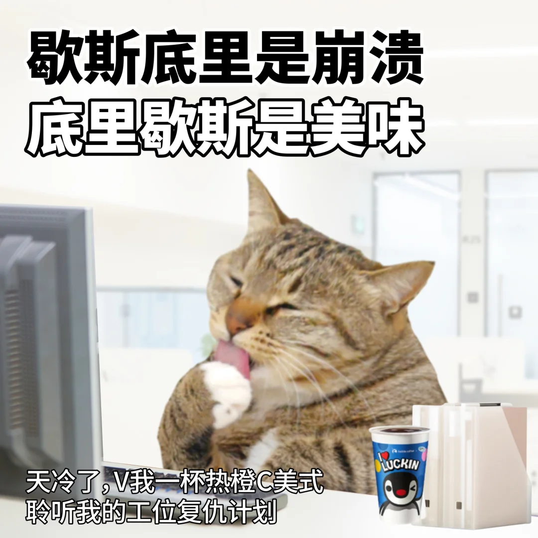 今天工作do了吗 表情包