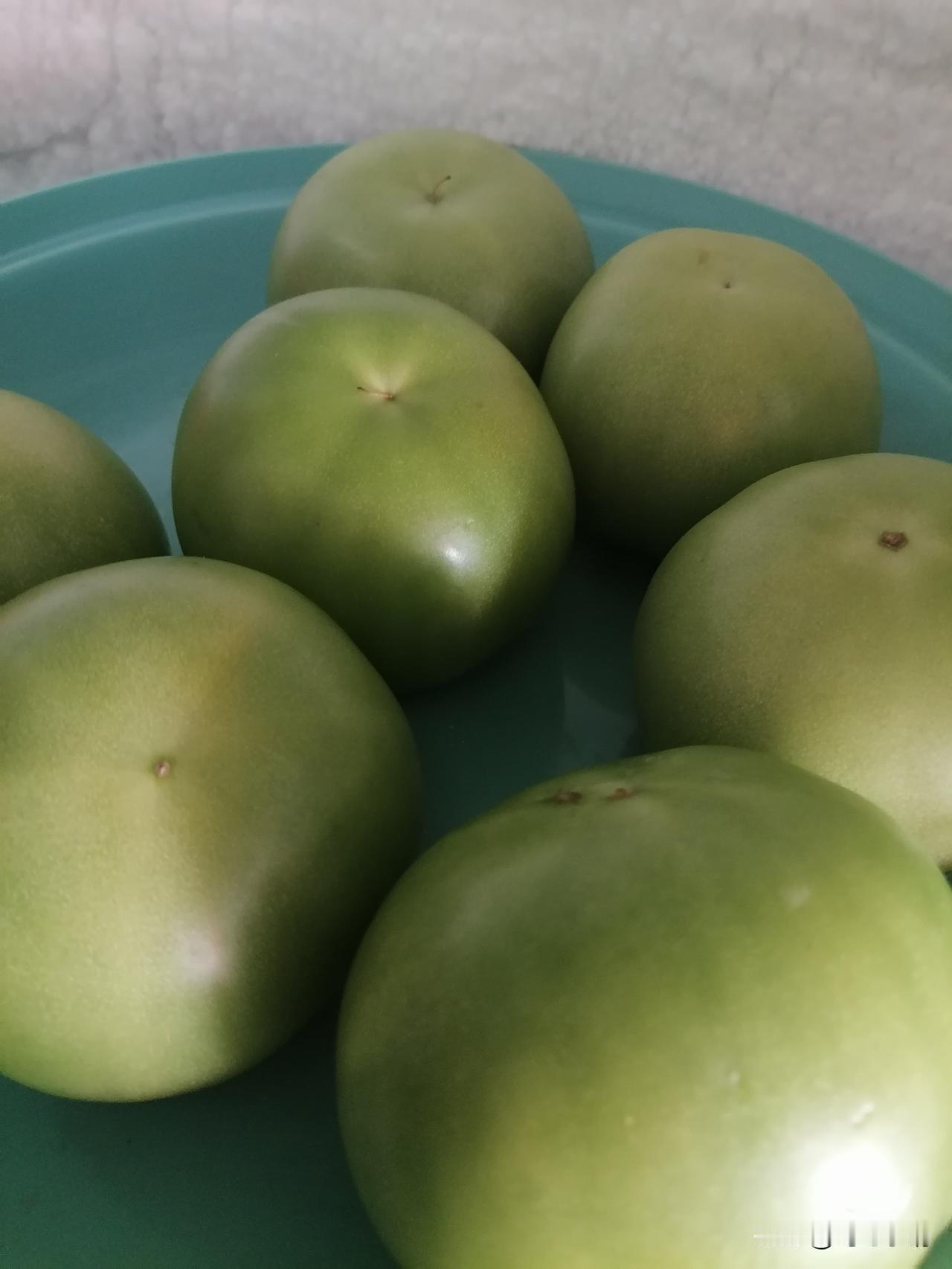 冬日生活打卡季青西红柿竟然比红西红柿贵，现在的人不知道怎么了？